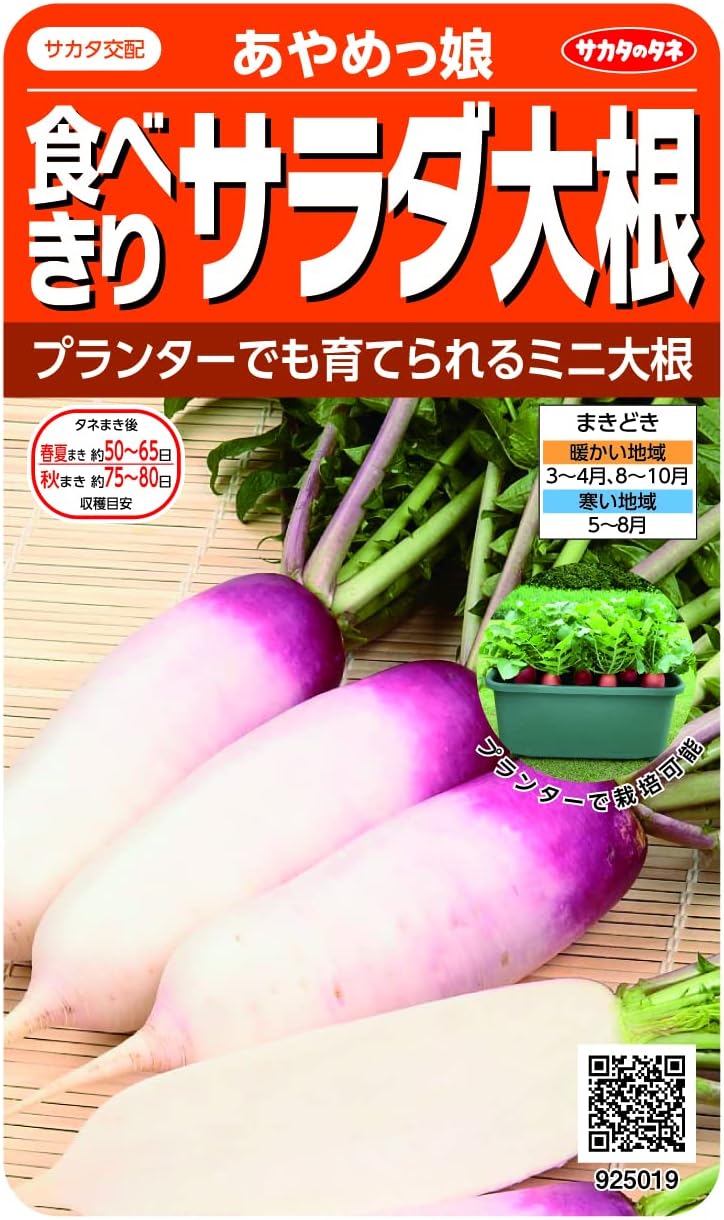 Amazon | サカタのタネ 食べきりサラダ大根 あやめっ娘 | 野菜