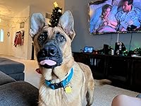 Review Image by David David