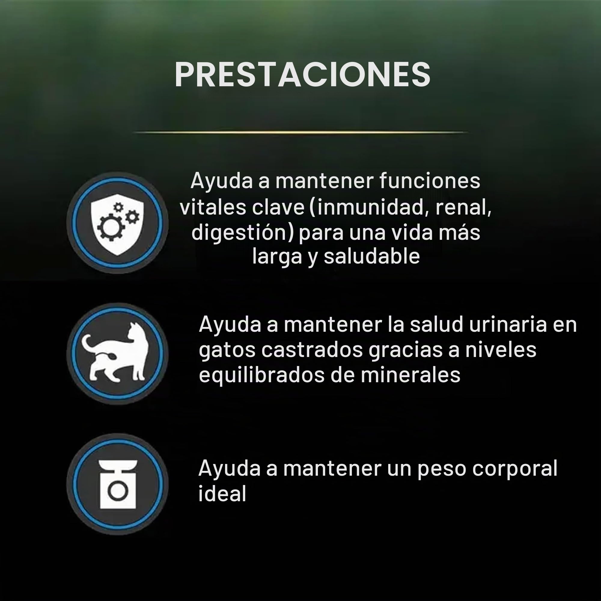 PURINA PRO PLAN | Liveclear Sterilised | Senior 7+ | Rico en Pavo | Croquetas | Gato | Bolsa de 2,8 kg