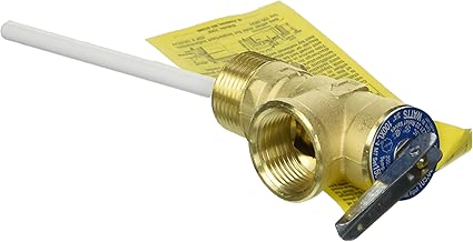 150psi T&P Valve - coolthings.us