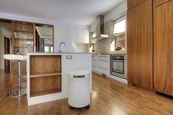 Airpura F600DLX Formaldehyde, VOCs and Particles