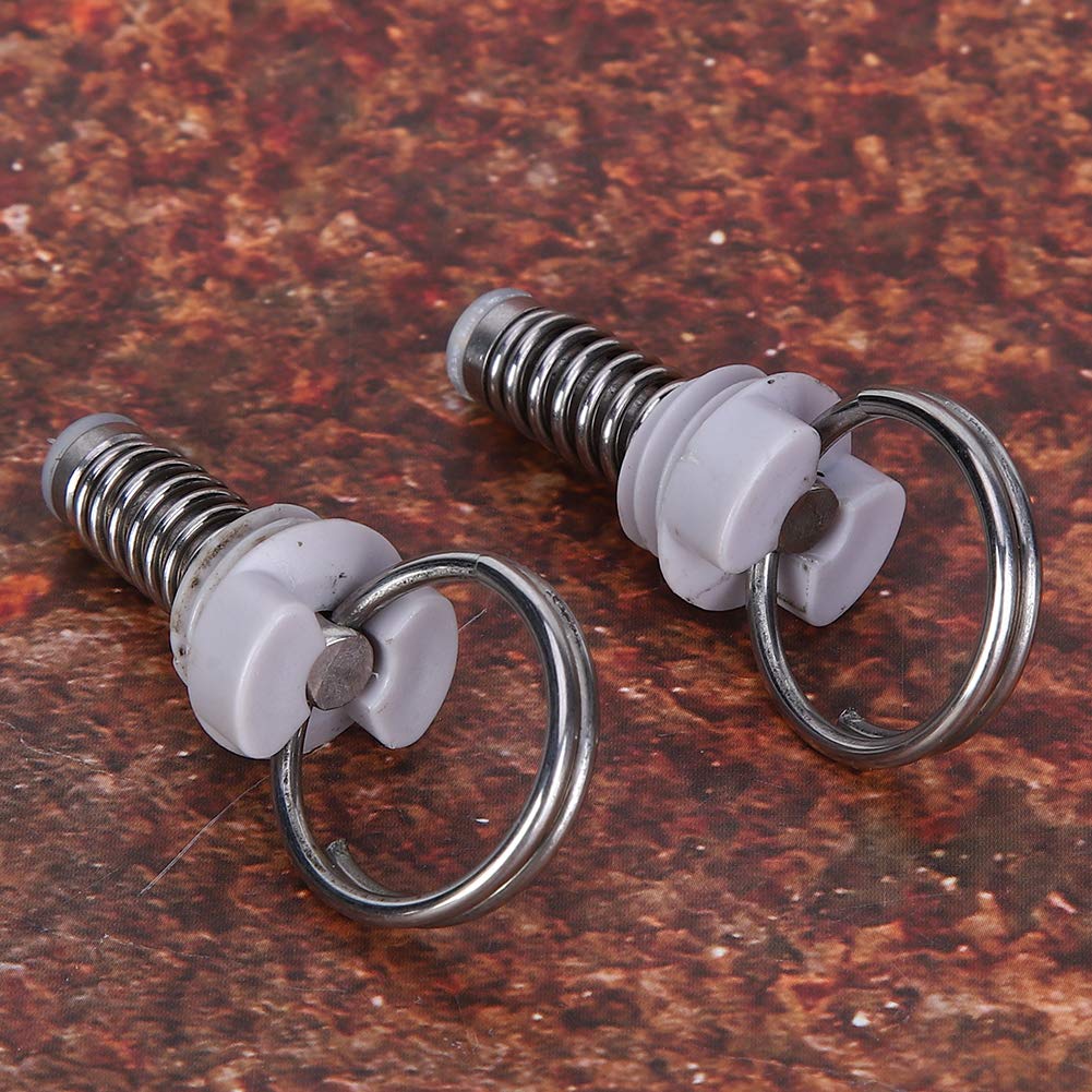2Pcs 100PSI Beer Keg Valvole limitatrici di pressione valvola di scarico valvola di scarico universale nucleo Valvole limitatrici di pressione Accessori per la produzione di birra