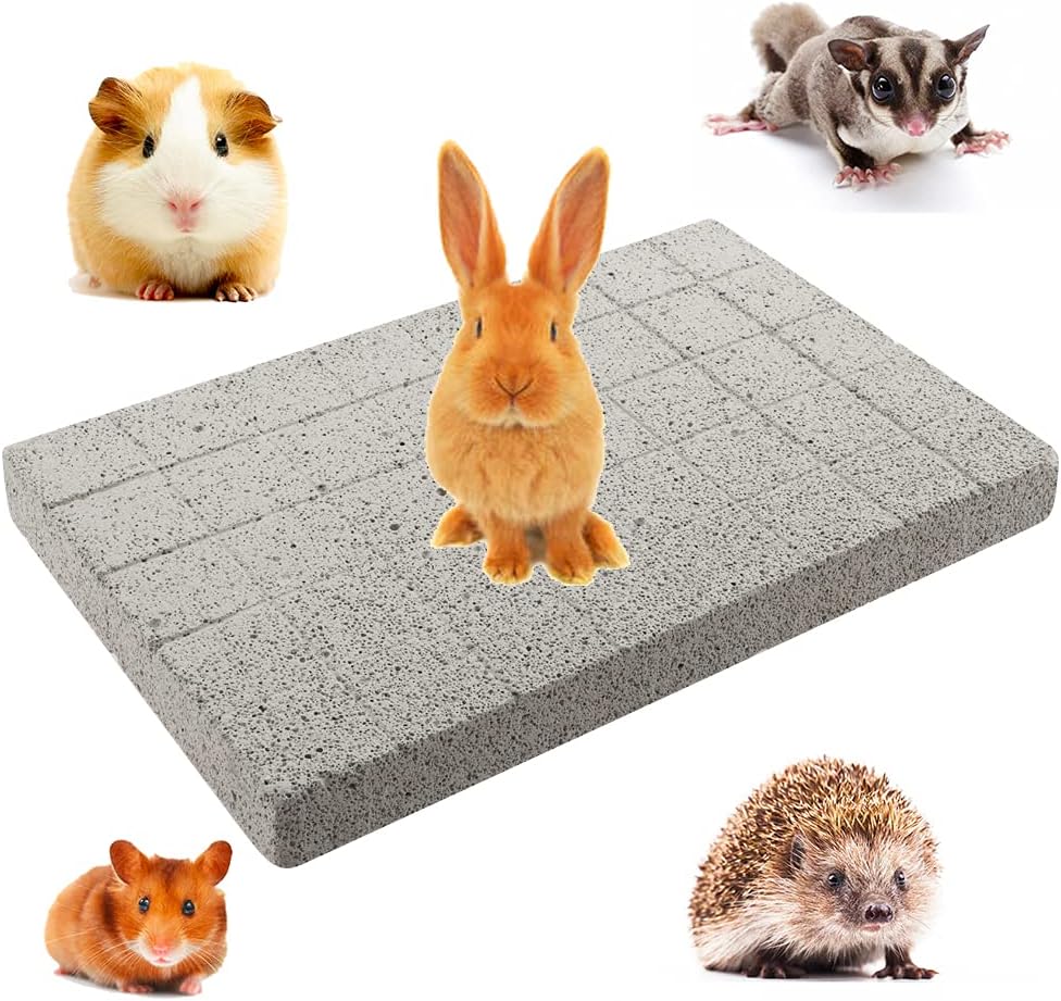 Rabbit Grinding Claw Pad Lava Grinding Teeth Stone Chew Toy Foot Pad ...