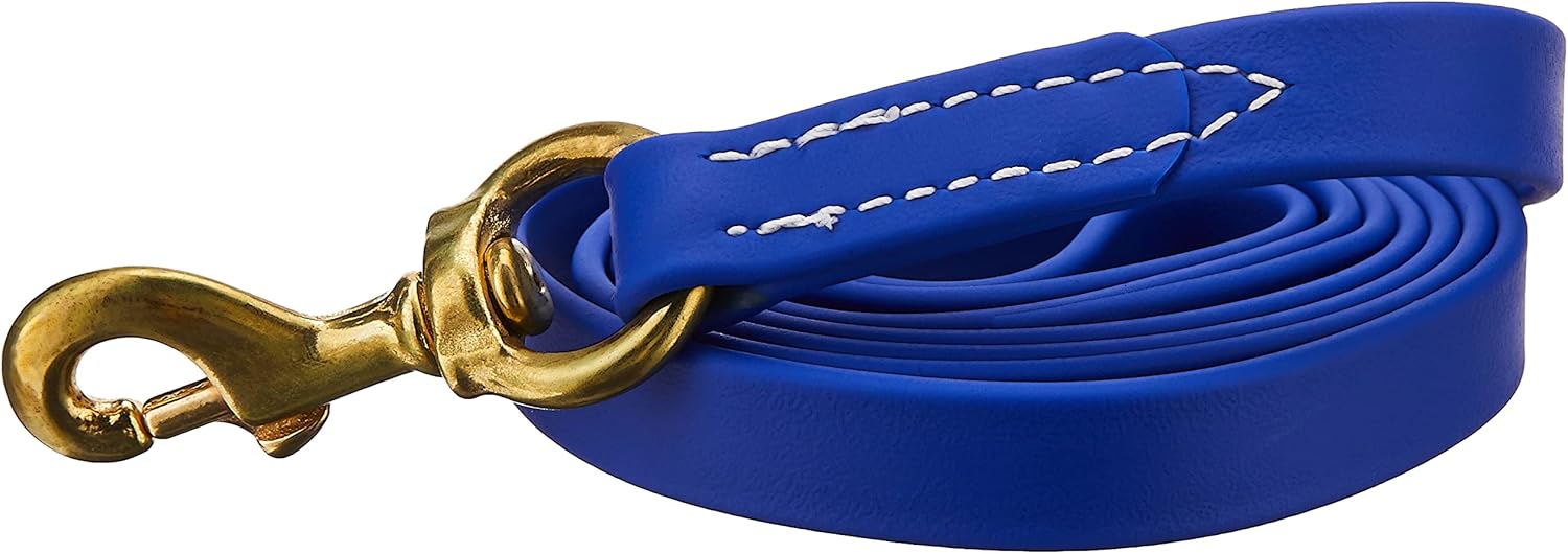 J&J Dog Supplies Biothane Dog Leash, 3/4" Wide by 6' Long, Blue