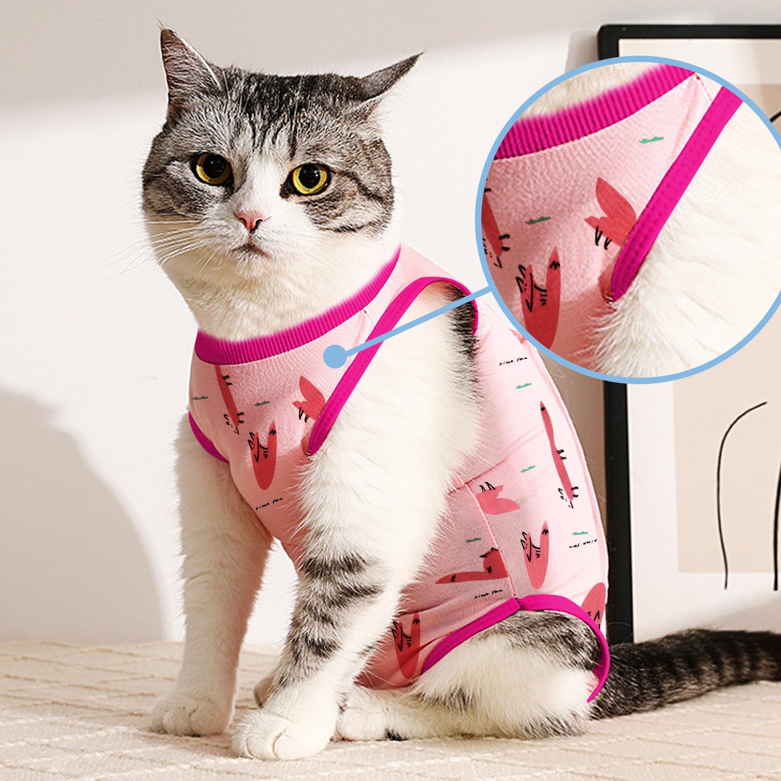 Katzen-Genesungsanzug Nach OP – Alternative Zum E-Kragen, Für Bauchwunden, 3 Größen