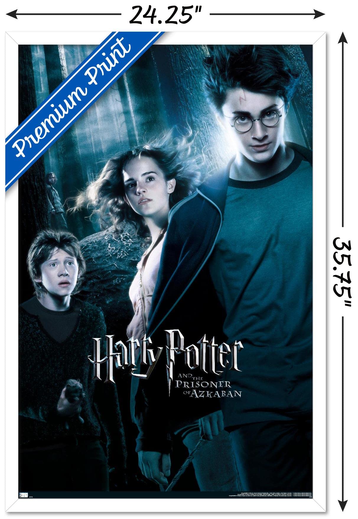 Amazon.com: Trends International Harry Potter and the Prisoner of
