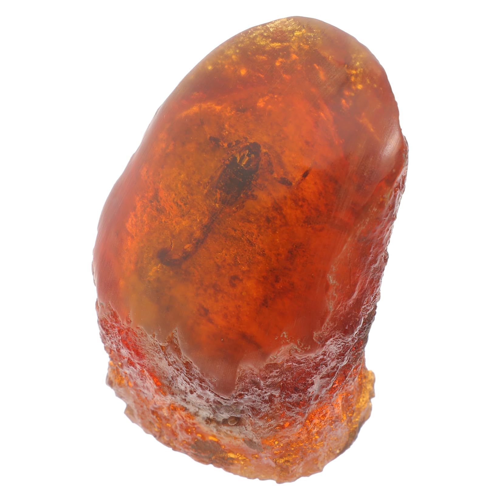 4pezzi Specimen Insetto Ambra Resinosa Decorazione Elegante Per Collezionisti e Appassionati Di Compatte Oggetto Da Esposizione Unico e Raffinato