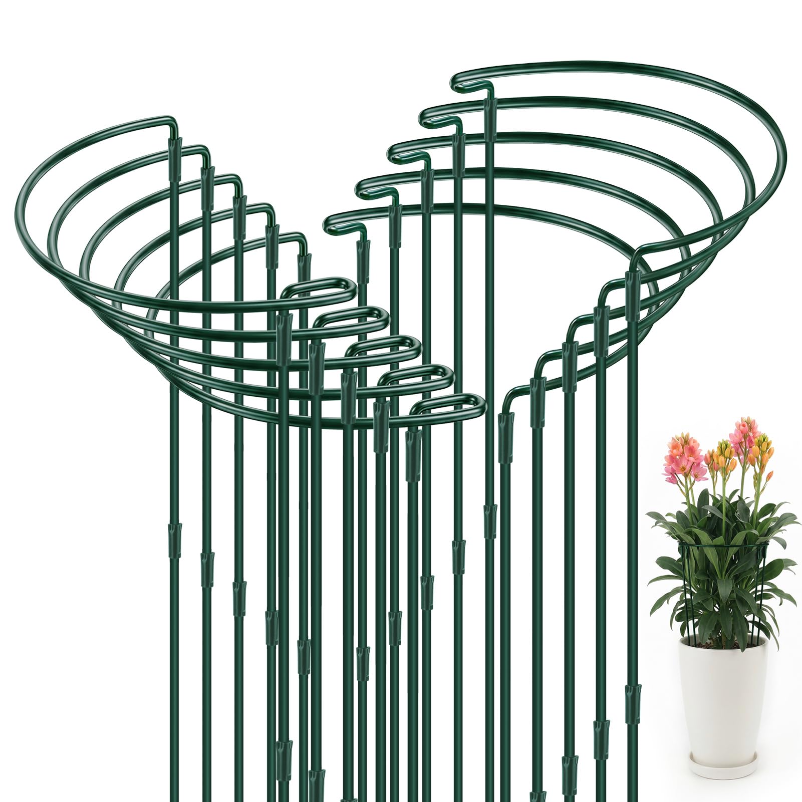 Catephe 10 Pcs Plant Supports, 25 x 60 cm Half Round Ring Adjustable Garden Stakes for Outdoor Plants, Tomato, Vegetable, Hydrangea, Rose, Flowers