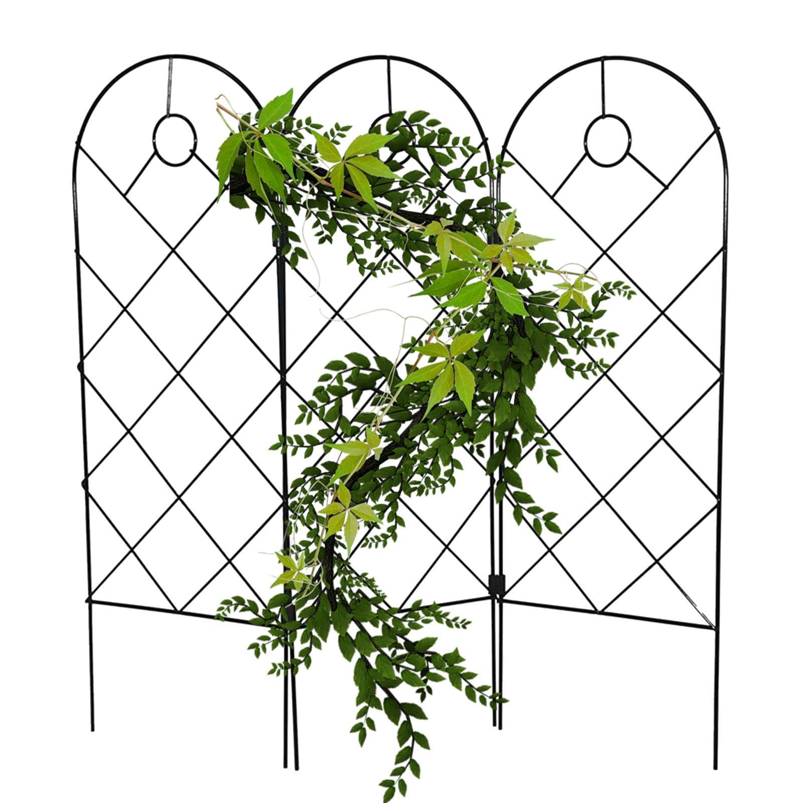 Trellis für Zimmerpflanzen, Spalier für Zimmerpflanzen | Indoor | Topfstützen für den Innenbereich Garten Metallgarten für Kletterpflanzen - Topfstützen für Spalier