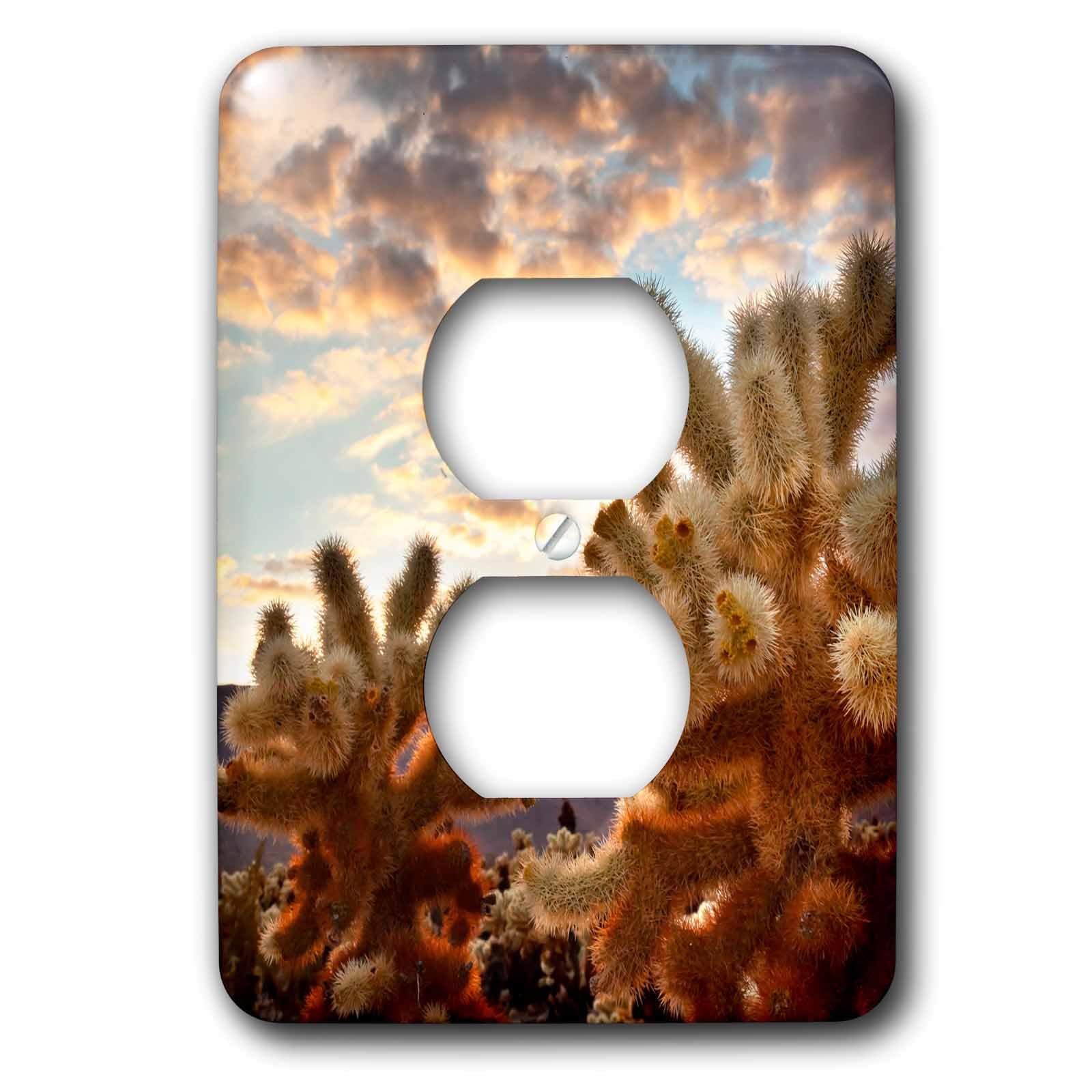 Placa de enchufe doble de cactus Sunset Over Cholla para pared