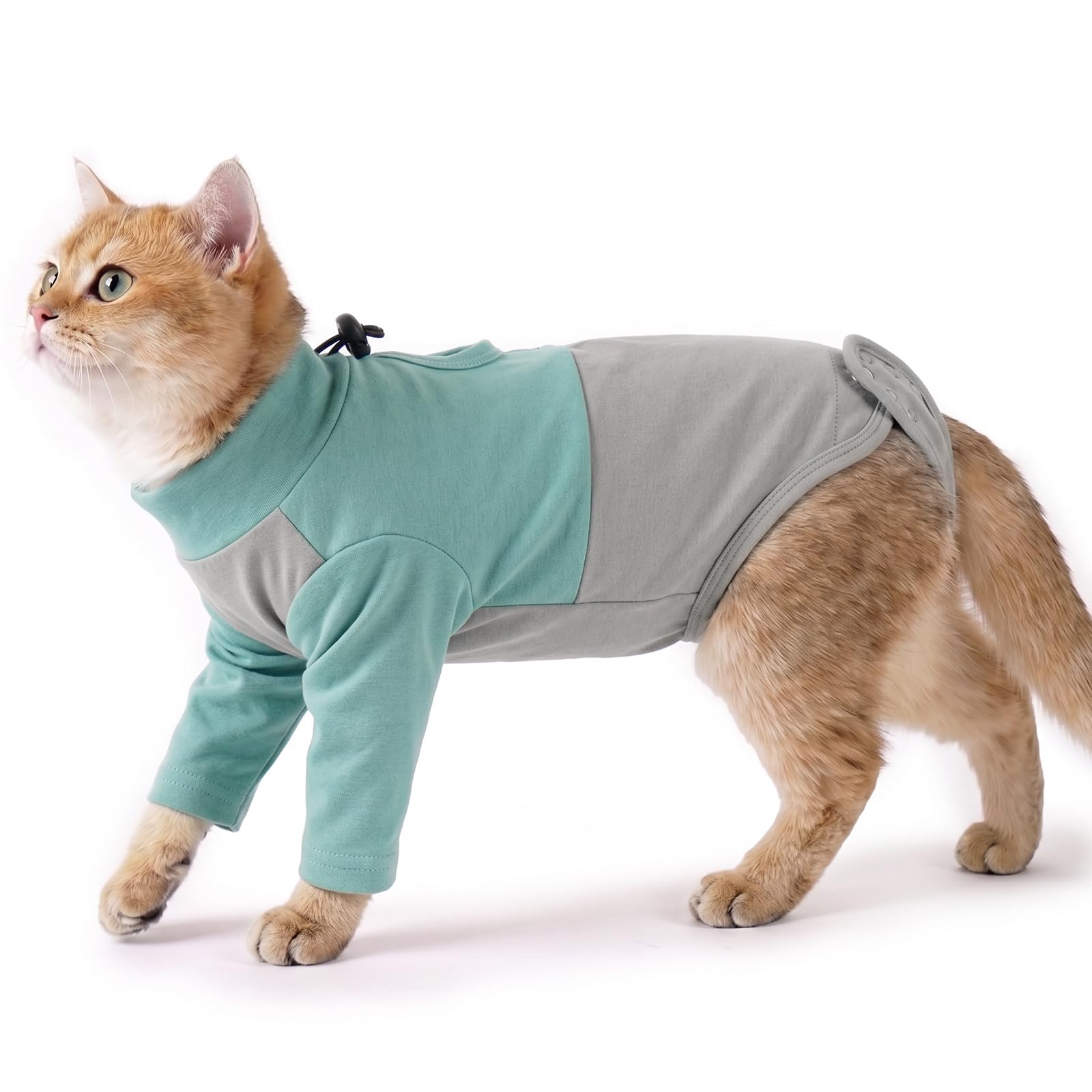 Cat Overgrooming Suit, Soft Protective Suit Post Surgery Good for Front Leg Injuries/Protect Sore Front Leg/Allergies Cat Cone Collar Alternative, Stop Pet From Licking Incision Area(Green, M)