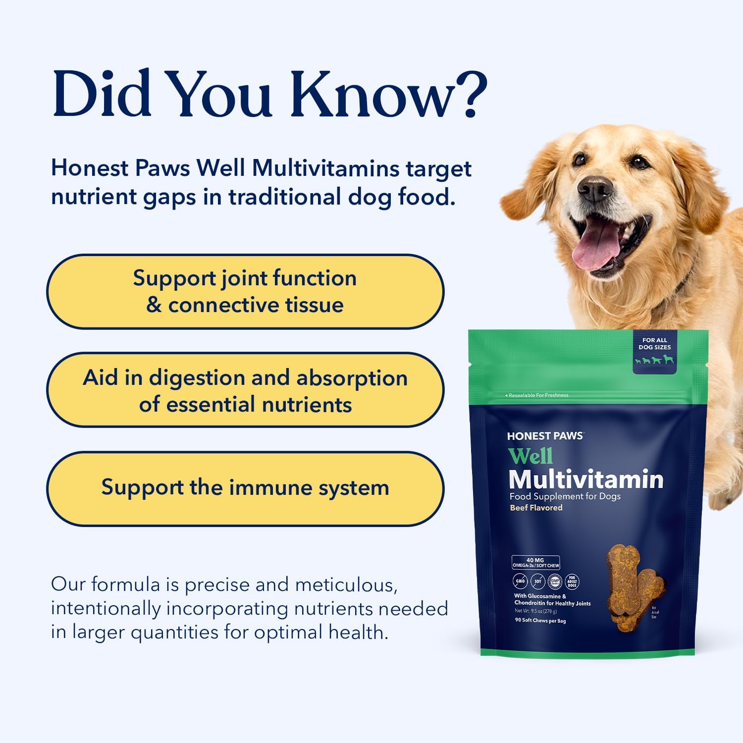 Honest Paws (90 Count) Dog Multivitamin Soft Chews with 10 Essential Vitamins - Joint, Coat, Immune, Eye & Heart Support - with Glucosamine, Chondroitin & Omega-3 - Beef Flavor (Pack of 2)