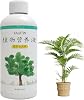 WEITING Rooting Hormones for Cuttings | High-Performing Liquid Root Starter - Root Growth Hormones, Tree Root Stimulator for Houseplants, Vegetable Transplants, Root Stimulator