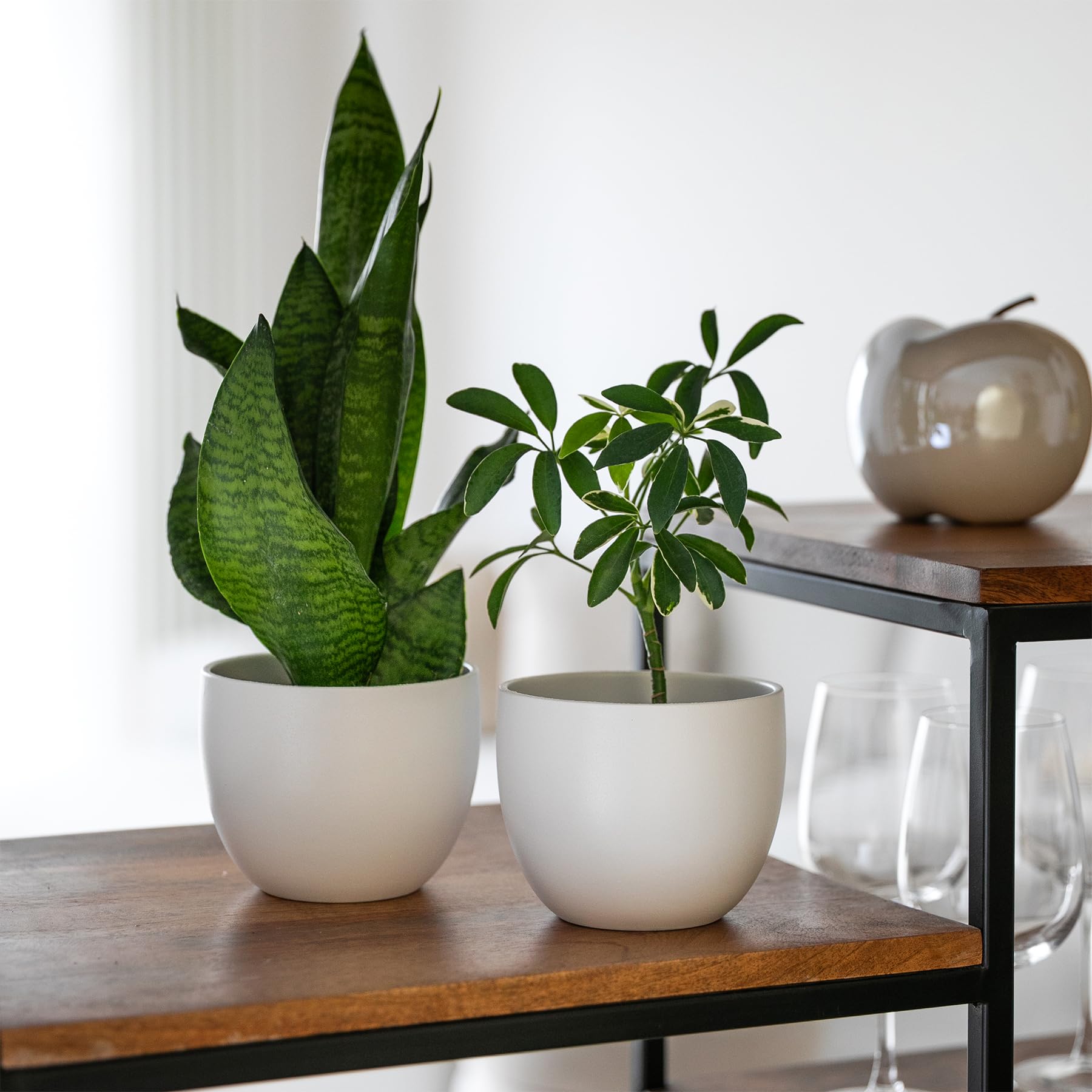 Elegante jarrón de Terracota | Blanco Mate | para Interior o Exterior | D.12,5 cm - H.13 cm | Maceta Decorativa Moderna para Plantas, Flores, Plantas suculentas, orquídeas, Sansevieria (2 x – Ø 12,5