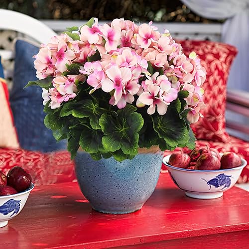 Miniatura 5 de 2 piezas de geranios artificiales para exteriores, flores de geranio de seda púrpura y rosa, arbusto de geranio artificial, flores sintéticas, ramas
