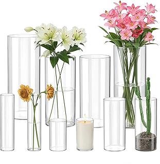10 Pack Glass Cylinder Vase for Centerpieces, Clear Flower Glass Vases f...