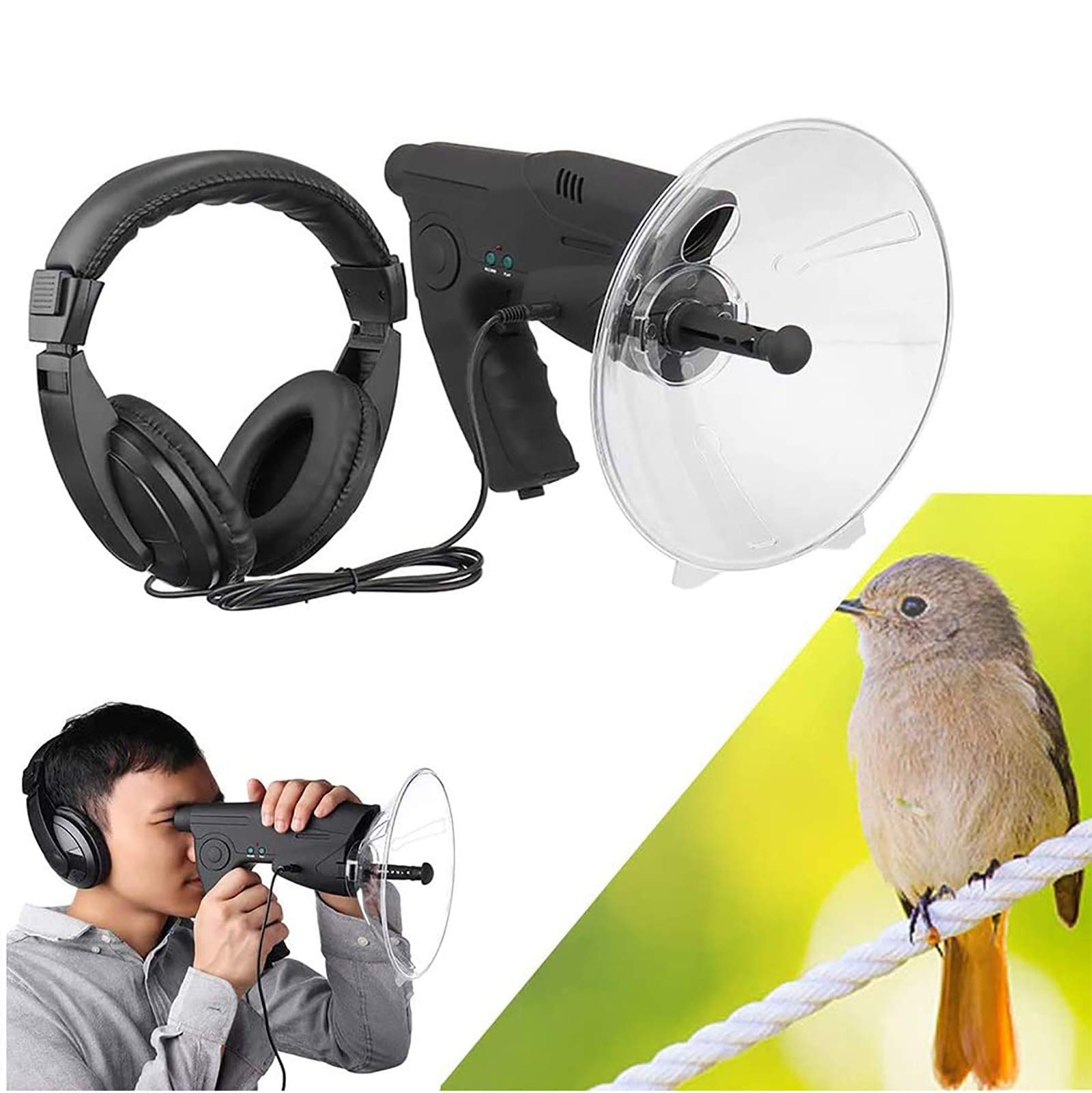 Microphone directionnel parabolique pour écouter les oiseaux en camping