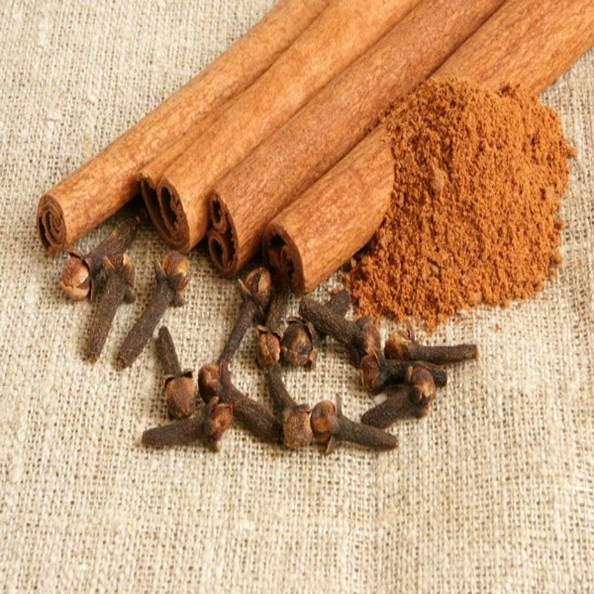 Cinnamon Clove Fragrance Oil (8 oz Bottle) for Candle Making, Soap Making, Tart Making, Room Sprays, Lotions, Car Fresheners, Slime, Bath Bombs, Warmers…