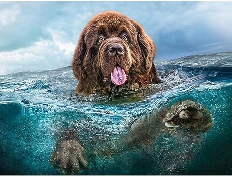 Amazon Co Jp 大人のジグソーパズルかわいいチベタンマスティフの1000個のジグソーパズル最高の家族の装飾大人の若者のジグソーパズルゲーム おもちゃ