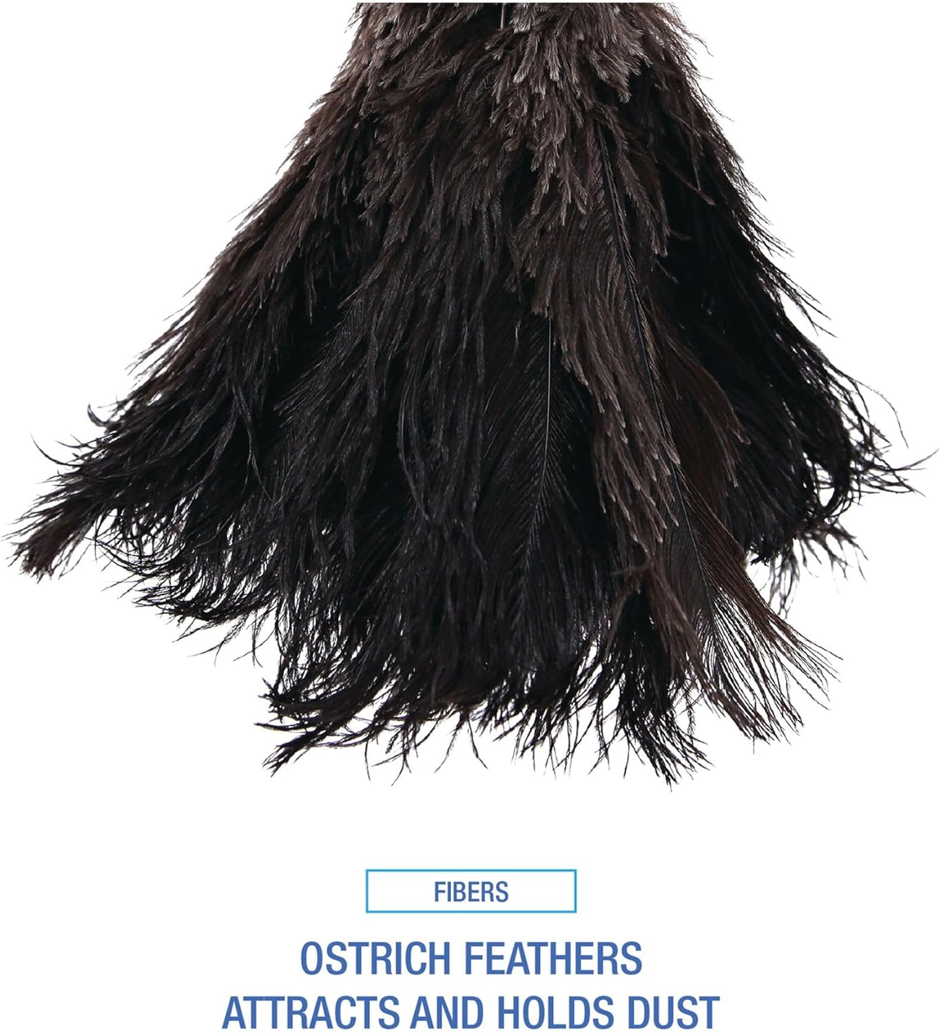 Boardwalk 20BK Professional Ostrich Feather Duster, 10" Handle
