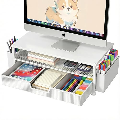 ECOLOVI Desk Organizer and Accessories, 2-Tier Computer Monitor Stand Rise
