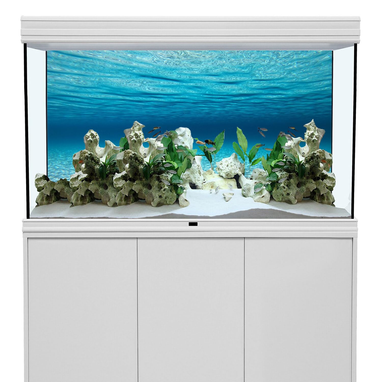 Fondo Para Acuario Paisaje Submarino 76x46 Cm | Vinilo HD No Reflectante | Para Pecera Tropical Y Terrario