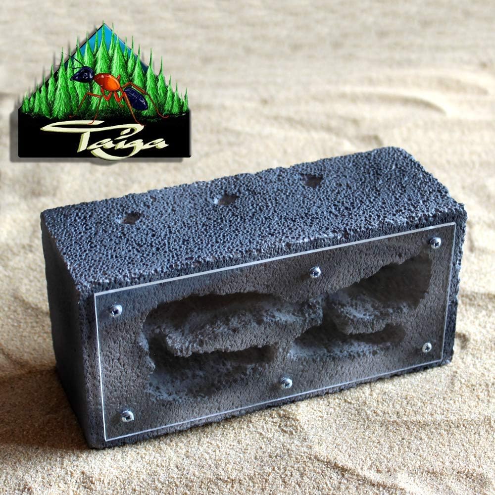 Antlife ANT NEST | Nest stone Taiga (Size M)