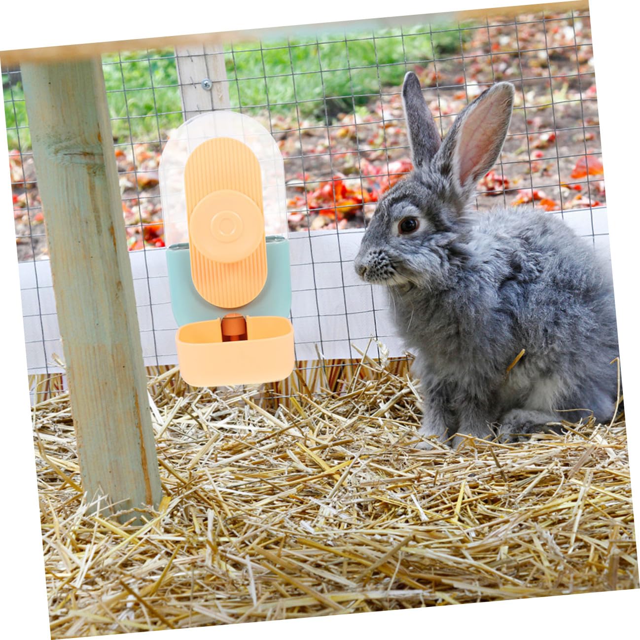 Distributore Automatico di Cibo e Acqua Sospeso 2 Pezzi Plastico | Pet e Cavia, Capacità Ampia, Uso Domestico, Alimentazione Quotidiana e Distribuzione Automatica