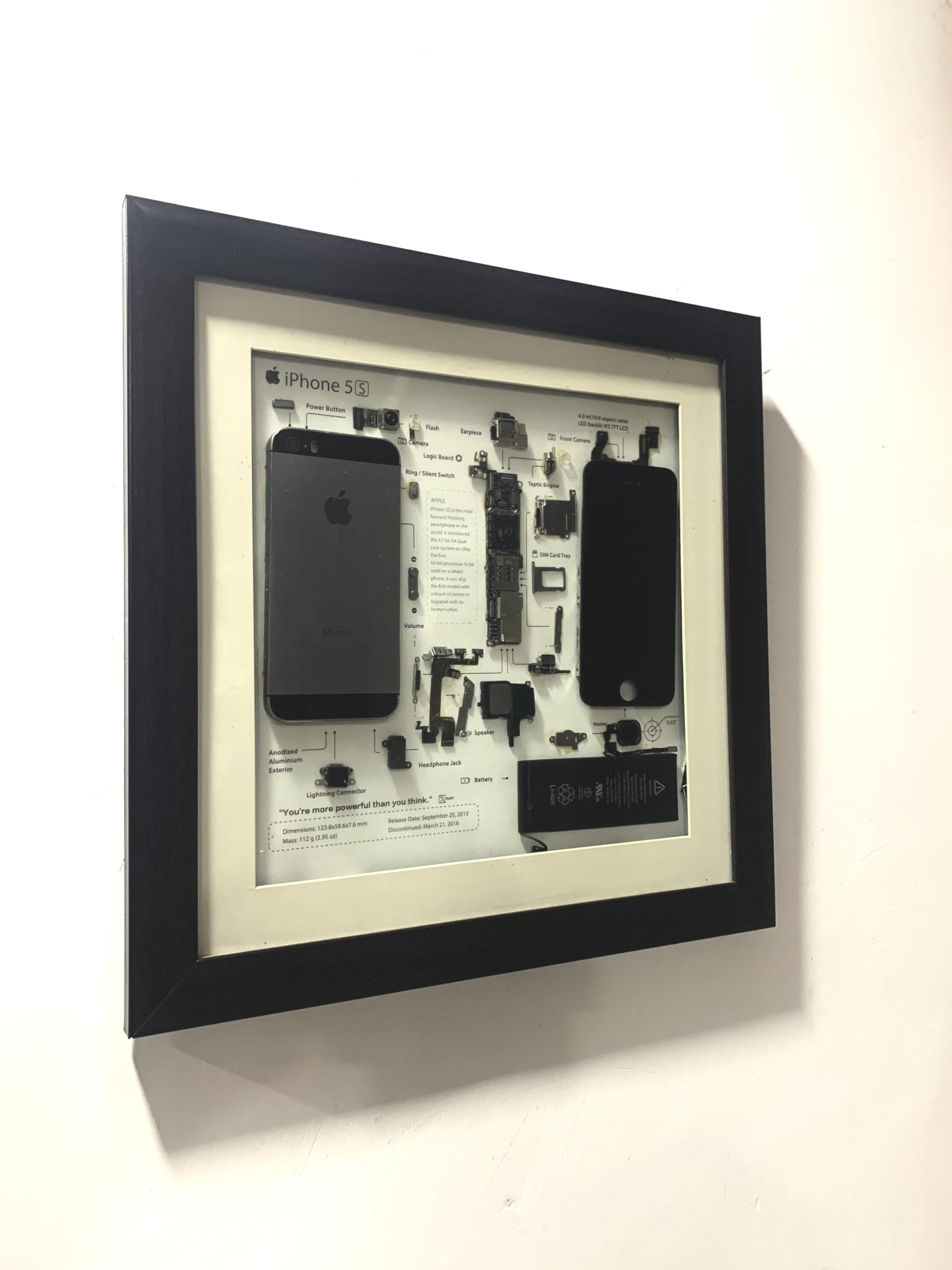 Apple Frame Gallery An Illustration Of Apple Frame | Premium Vector