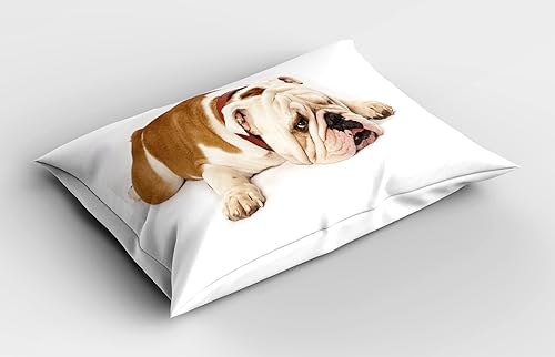 Miniatura 2 de Ambesonne Funda de almohada de bulldog inglés, Bulldog triste y cansado, fotografía de animales de raza pura europea, funda de almohada decorativa