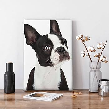 Amazon.co.jp: アートポスター フレーム 装飾画 ボストンテリア 犬柄(1