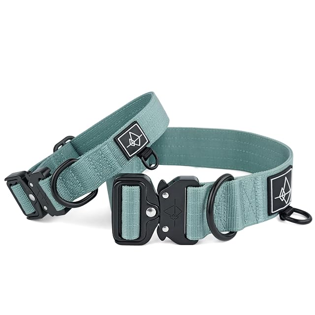 Foto 2 de 8 de Made to ROAM - Collar para perro de alta calidad, ajustable, de nailon resistente con hebilla metálica…