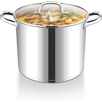 Joyfair 9.5 Litre Stainless Steel Large Pot Cooking Pot with Glass Lid