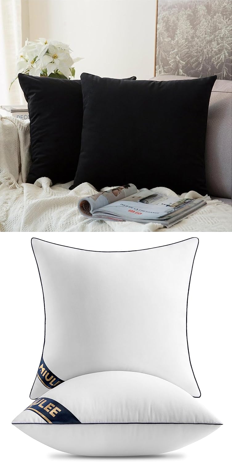 MIULEE Pack of 2 Decorative Velvet Soft Solid Pillow Covers Black Bundle Set of 2 Pillow Inserts 18x18