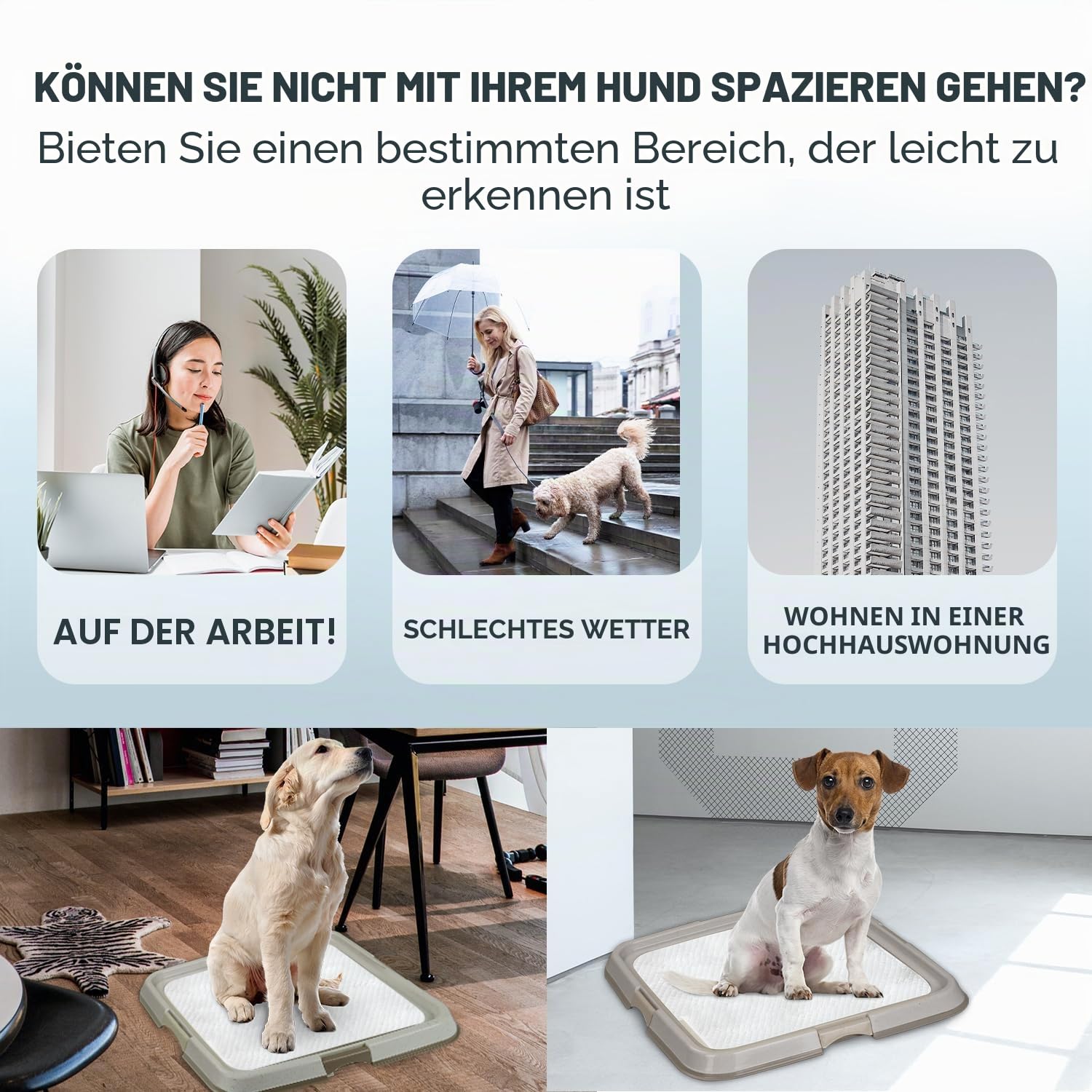 PAWISE Pee Pad Holder - Puppy Training Pads - Bester tragbarer Töpfchentrainer - Indoor Dog Potty - Puppy Essentials - Hundetraining Holder - Puppy Pad Holder - Pet Pee Holder (60 x 60 cm) 24x24 in