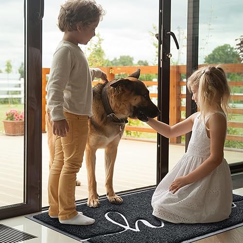 Miniatura 66 de BeneathYourFeet - Tapete de bienvenida de bajo relieve, de puerta delantera, interior y exterior, alfombras antideslizantes para entrada, patio