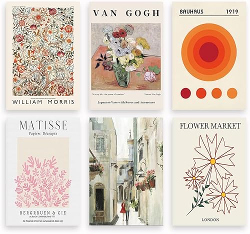 6Pcs Abstract Matisse Wall Art Posters Vintage Bohemia Prints Minimalist Flower 