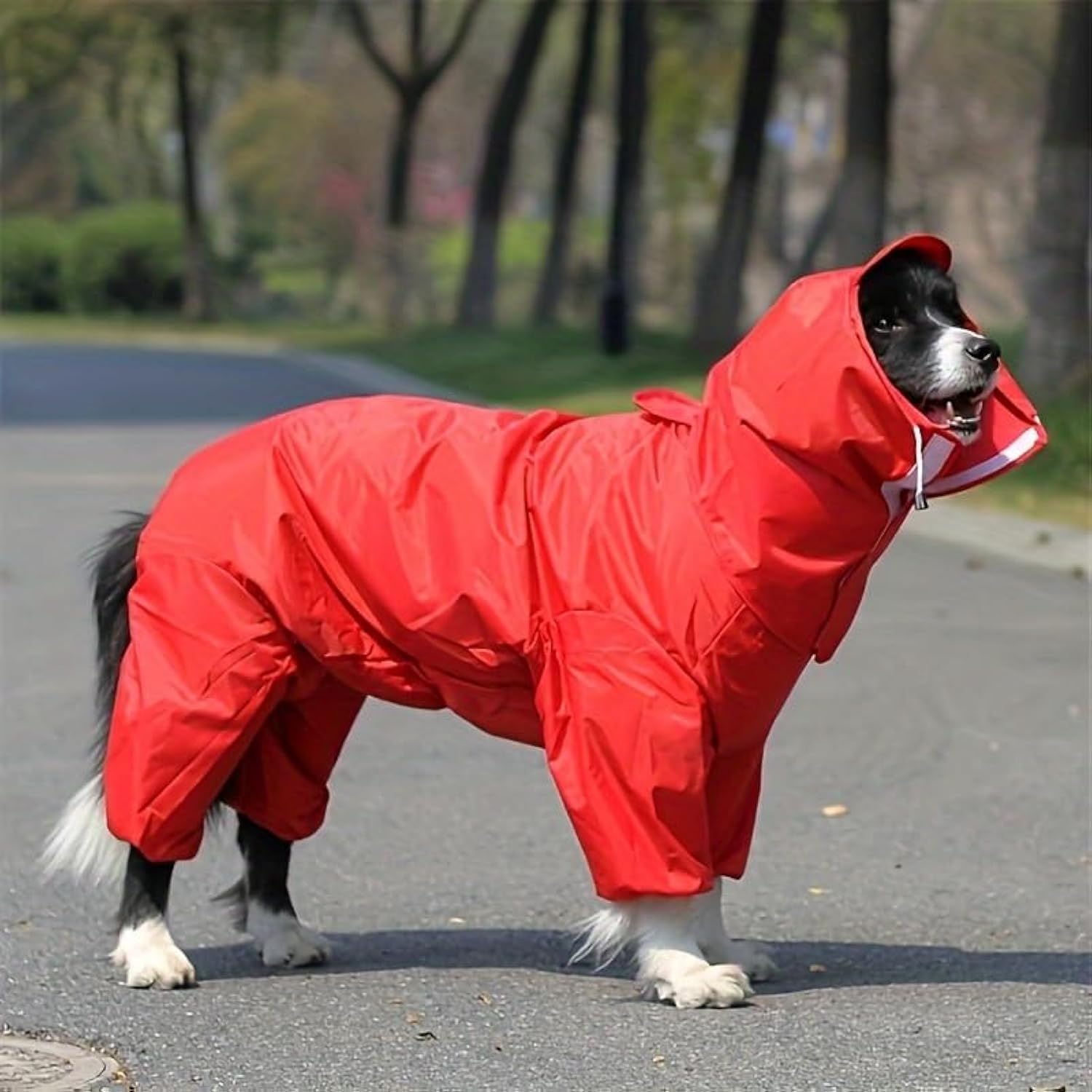 Doogle Large Dog Raincoat, Waterproof Jacket, Lightweight, Hooded, Rain Clothes with Brim, 4-Legged Rain Protection (5XL(26))