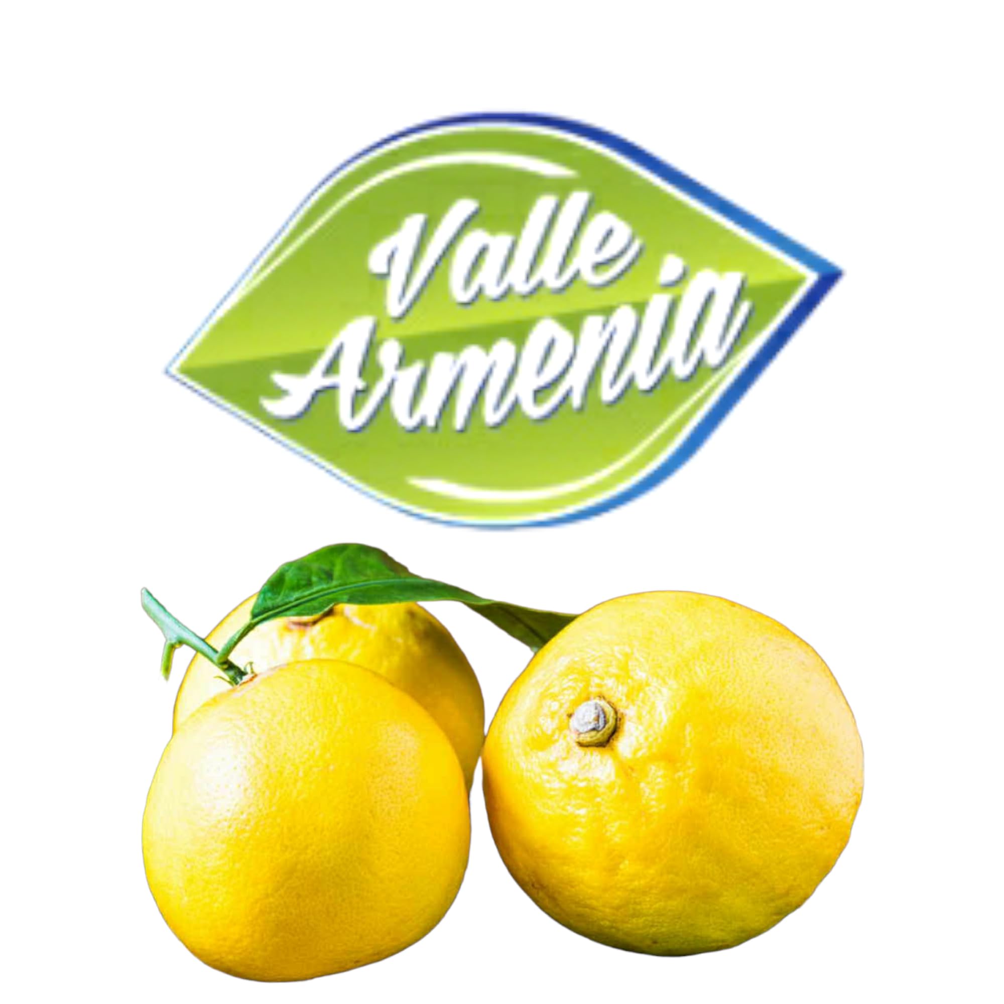 Celebra il Gusto Autentico con il Succo di Bergamotto Puro: Sei Bottiglie da un Litro per un'Esplosione di Freschezza!