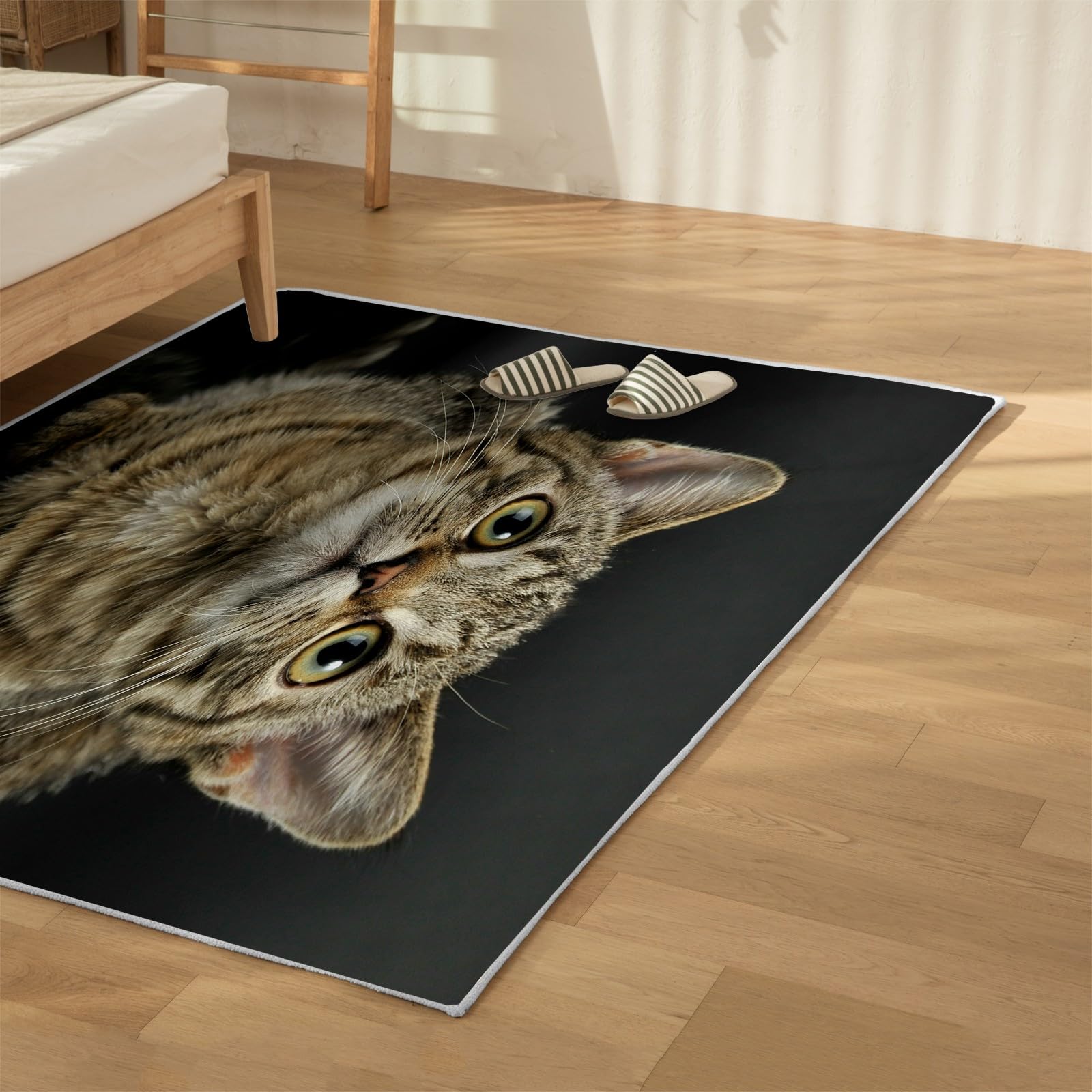 Amazon | ラグマット ジャコウネコ 中国の猫 カーペット 中国の猫 絨毯