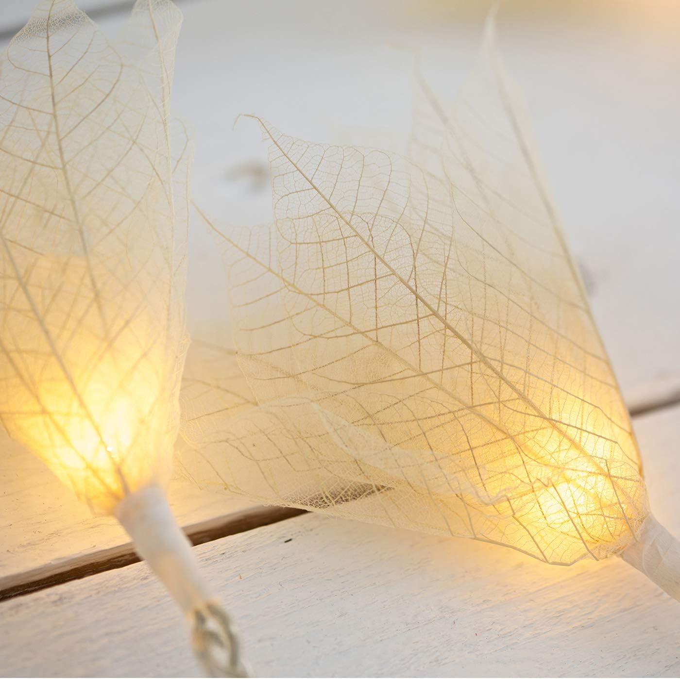 Natural Leaf Fairy Lights (Cream Coloured) – 20 Warm White LED Lights – Handcrafted from Real Rubber Tree Leaves – USB Powered – Includes UK 3–Pin USB Adapter – Indoor String Lights