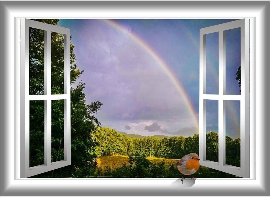 Bird Window Decal Robin Decor Rainbow Wall Sticker Peel and Stick Mural VWAQ-AN2 (28"H X 36"W)