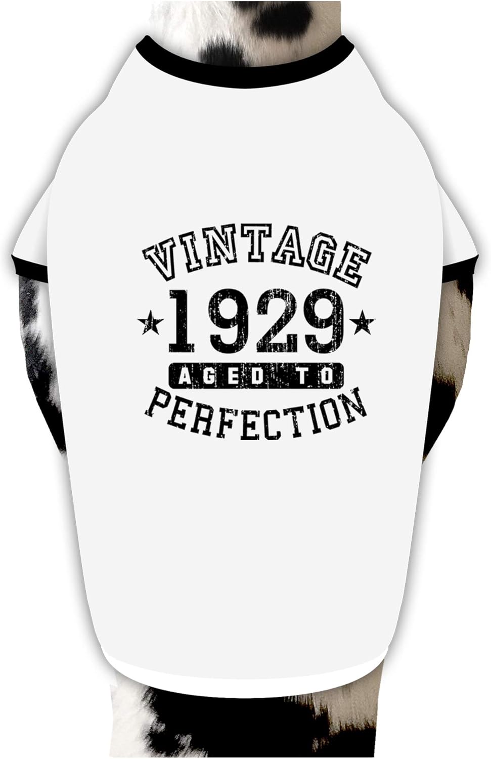 TOOLOUD 80th Birthday Vintage Birth Year 1939 Cotton Dog Shirt White with Black Small