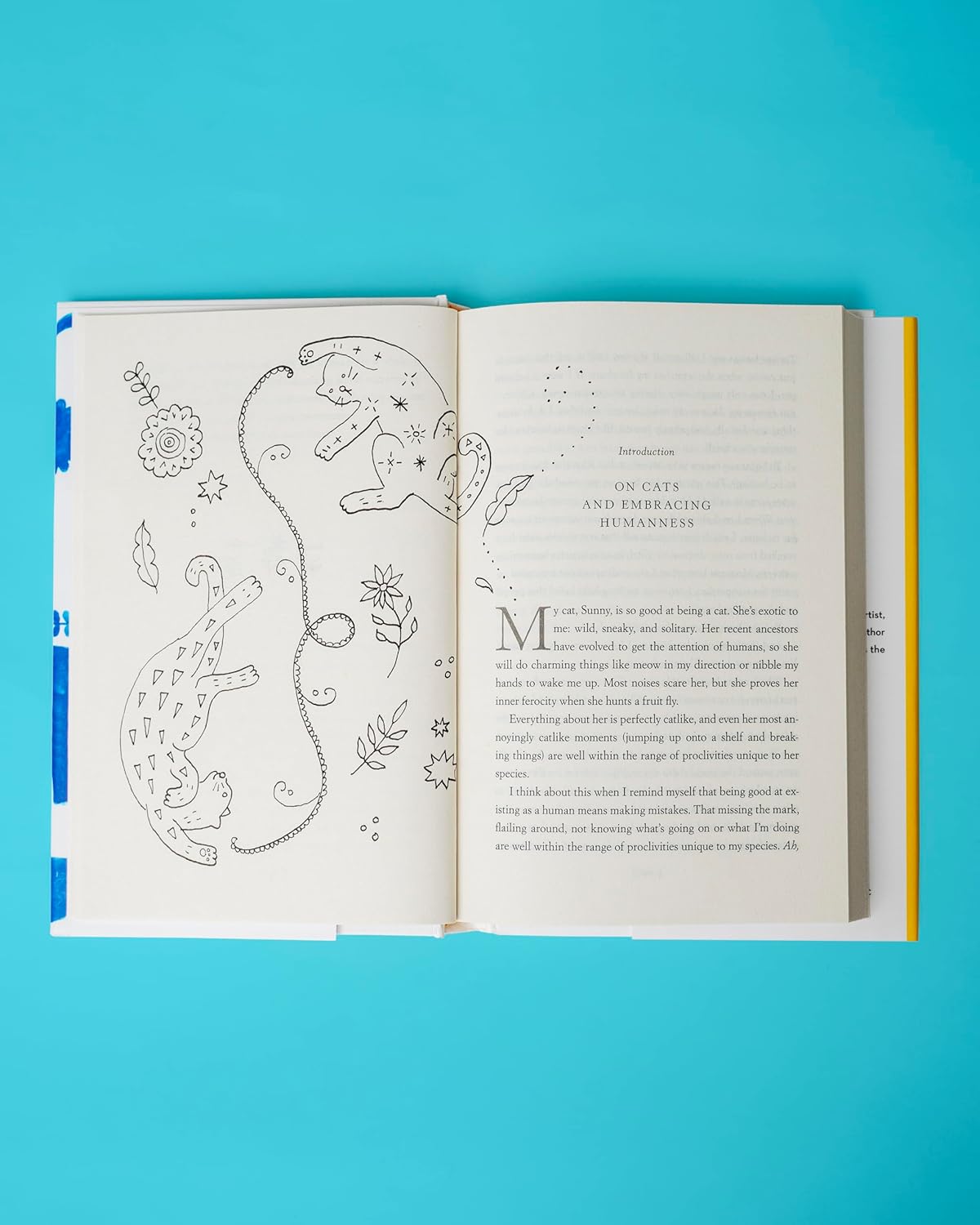 How to Be a Living Thing: Meditations on Intuitive Oysters, Hopeful Doves, and Being Human in the World - Image 3