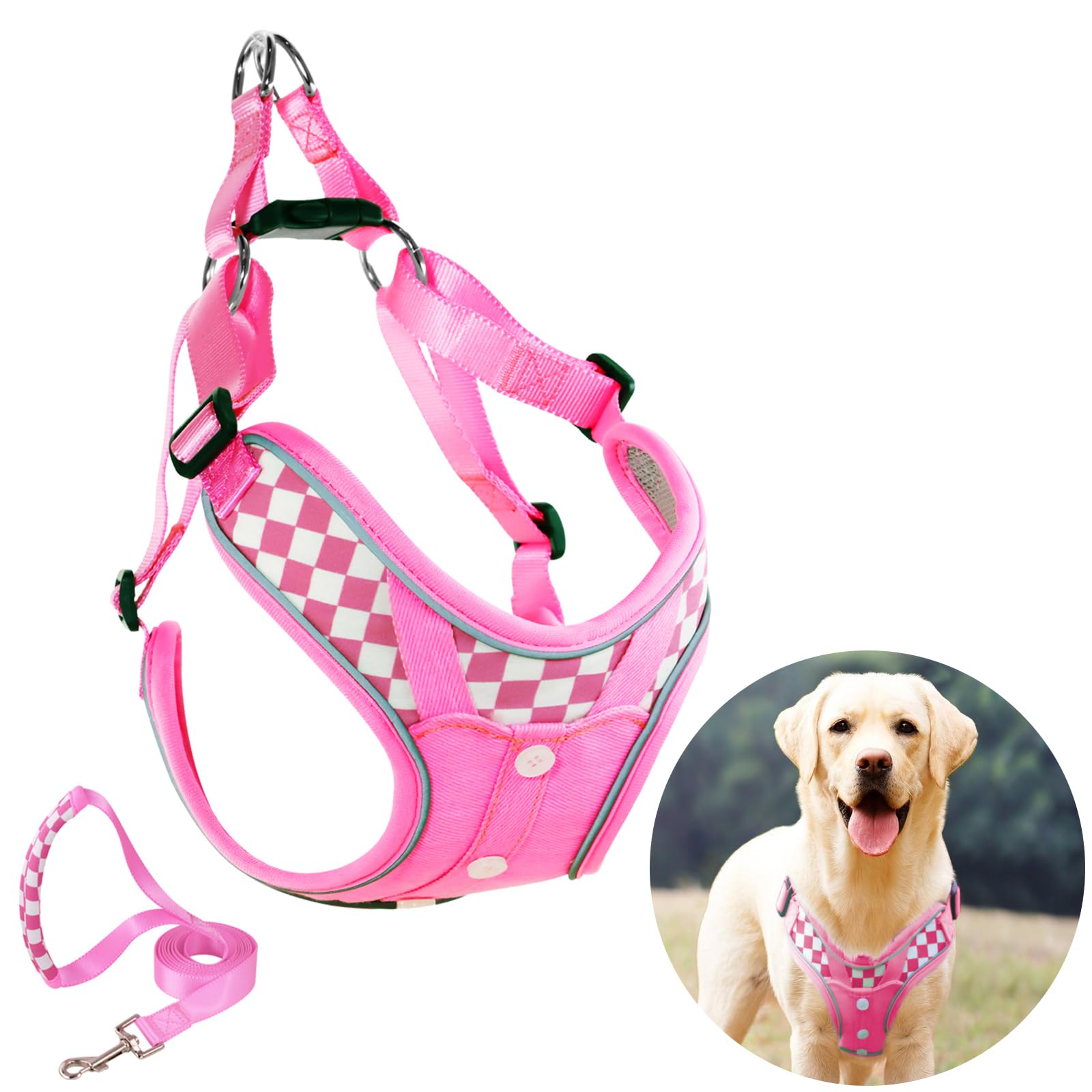 Dog Harness with Leash Set, No Pull Reflective Strips Adjustable Step in Collars with Breathable Padded Vest Harness for Large Dogs Training and