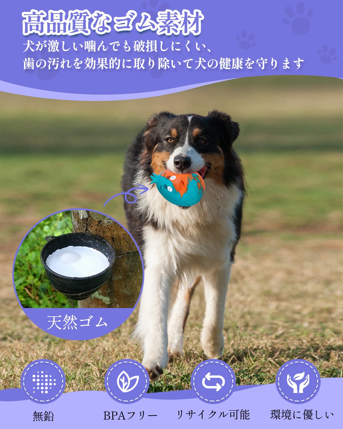 Amazon | KrauzPet 犬 おもちゃ 音が鳴る たまご ボール【ゴム製・運動