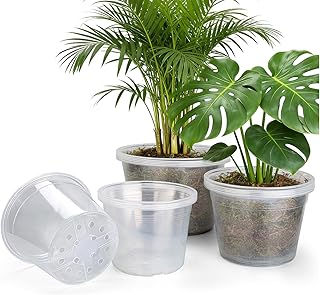 Clear Nursery Pots with Drainage