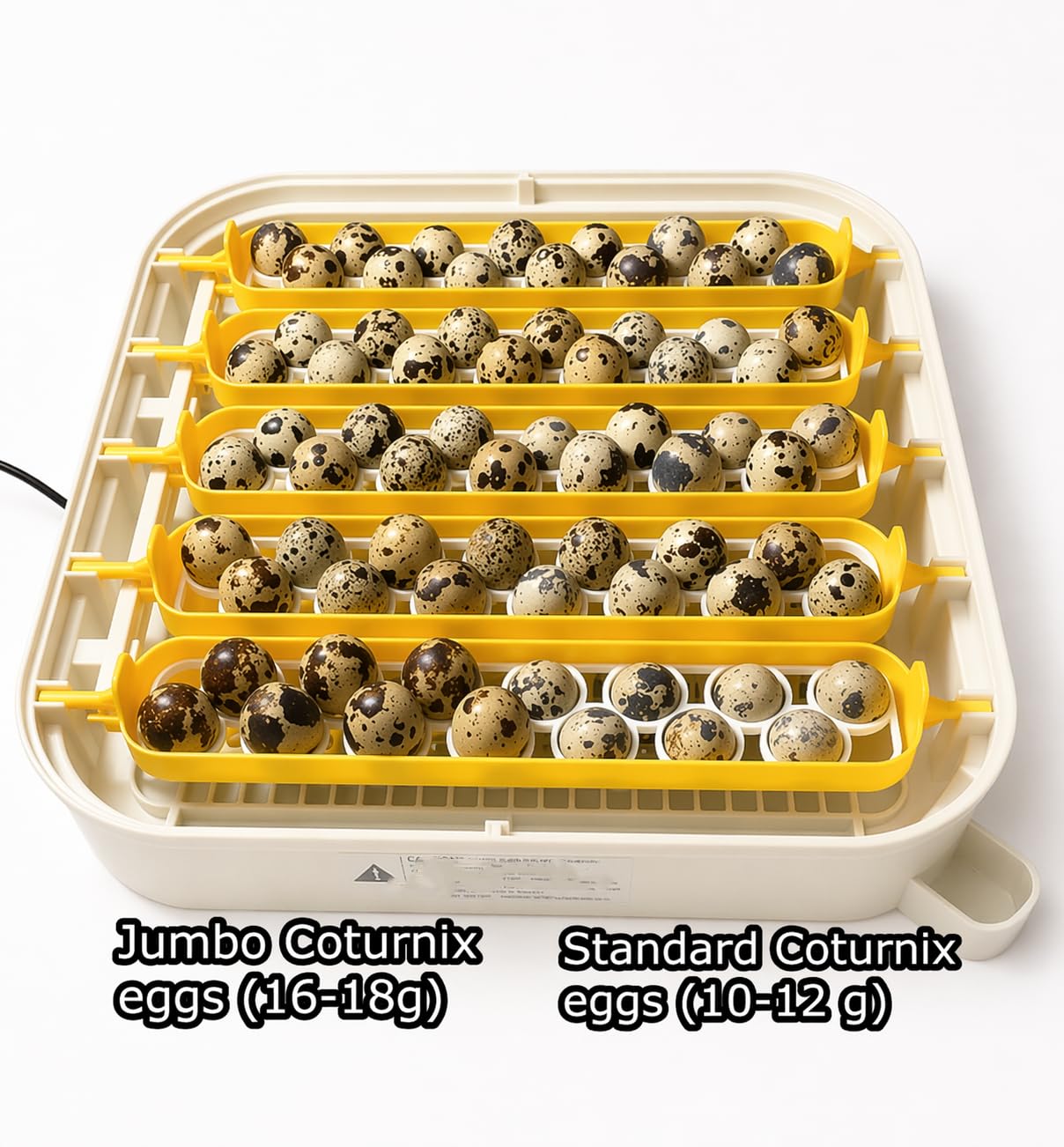 Compatible with MaticooPX 30 Quail Egg Turner Insert – Coturnix Quail Egg Tray Insert for Automatic Turner, Fits MaticooPX 30 Incubator (5 Insert x Green)