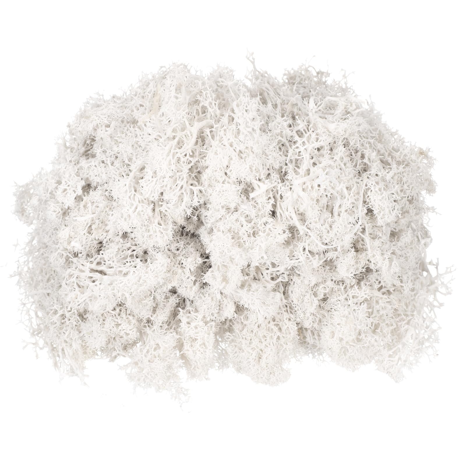 sourcing map 11.3oz Preserved Reindeer Moss, White Decorative Artificial Fake Moss for Potted Plants Indoor Crafts Lichen Centerpieces Decor