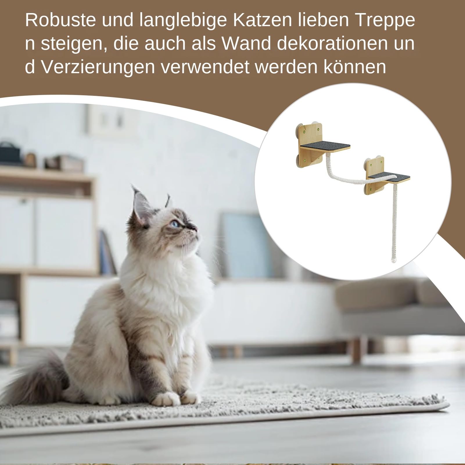 Katzenkletterseil - Katzenseil Wandmontiertes Klettertau - mit Saugnapf-Befestigungszubehör, Einfache Installation, Erfüllen Sie Die Bedürfnisse Beim Klettern, Springen, Parkour und Ausruhen